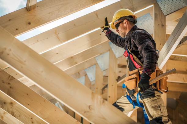 Best Roof Gutter Cleaning  in Natchitoches, LA